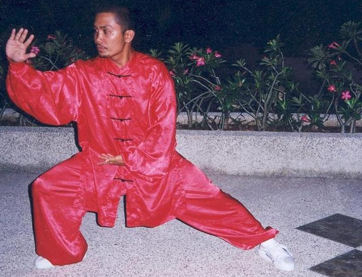 Meister Benny Arnel Besa - Standard Simplified Orthodox Chinese National Version, T'ai Chi Ch'uan 24 Movement Form, 1956, Yang Style