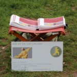 4140966241 - Unsere Auftritte 10