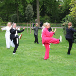24. Welt-Tai-Chi und Qi-Gong-Tag am 30.04.2022