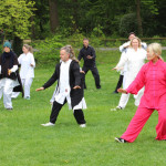 24. Welt-Tai-Chi und Qi-Gong-Tag am 30.04.2022
