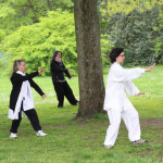 24. Welt-Tai-Chi und Qi-Gong-Tag am 30.04.2022