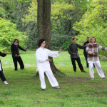 24. Welt-Tai-Chi und Qi-Gong-Tag am 30.04.2022