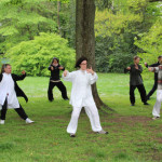 24. Welt-Tai-Chi und Qi-Gong-Tag am 30.04.2022