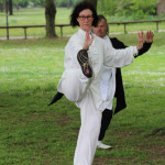 24. Welt-Tai-Chi und Qi-Gong-Tag am 30.04.2022