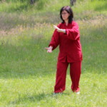 239637892 - Unsere Auftritte 42